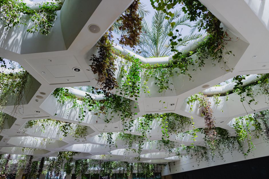 Groene planten in een licht en ruim interieur. Groene planten in een licht en ruim interieur.